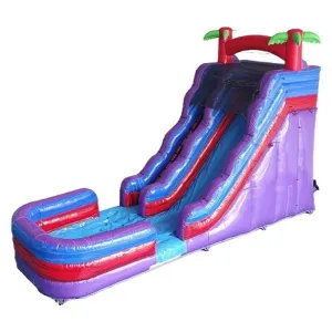 19'H Purple Slide Wet n' Dry with Pool