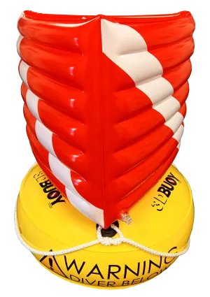 3D Bouy