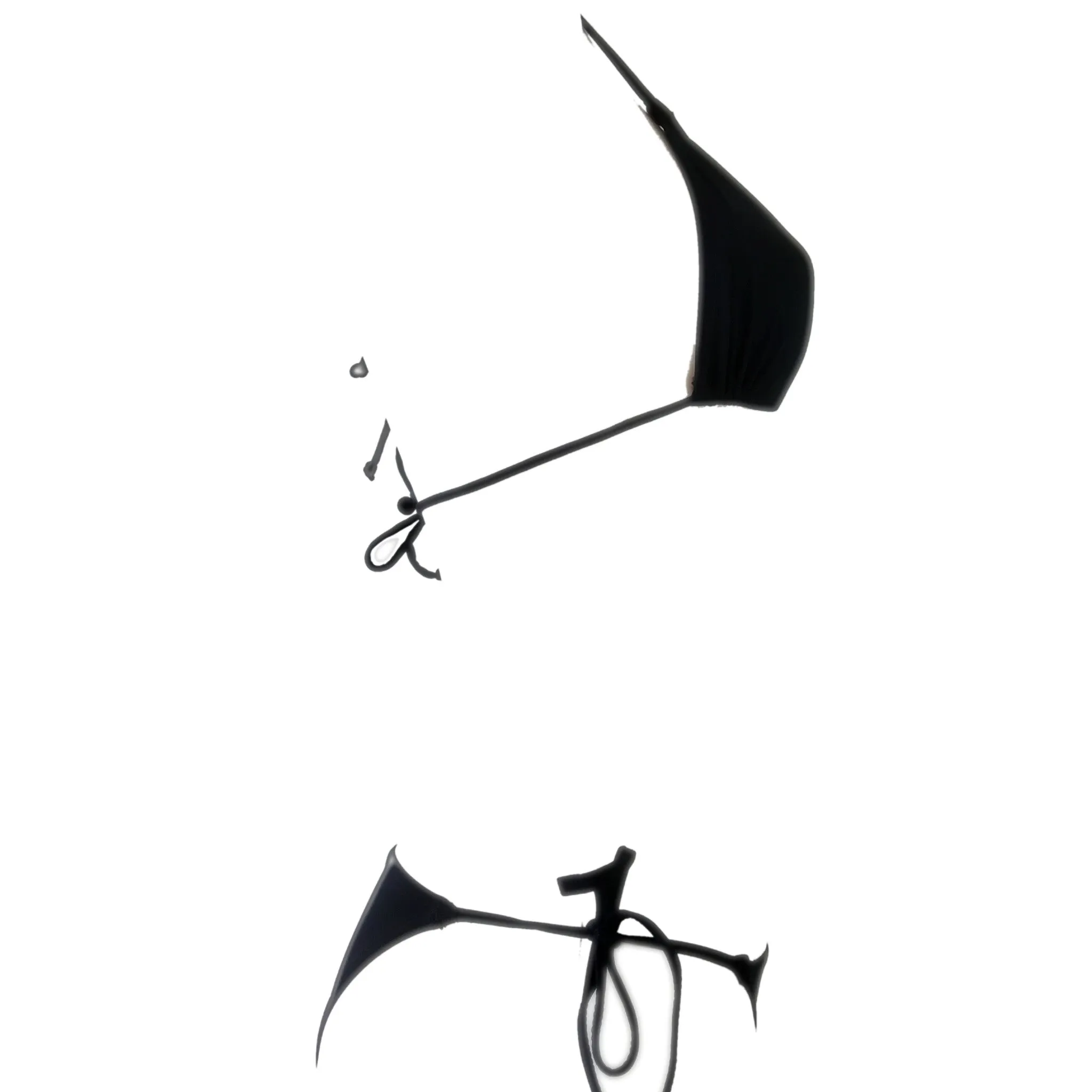 Black Bikini Triangle Set
