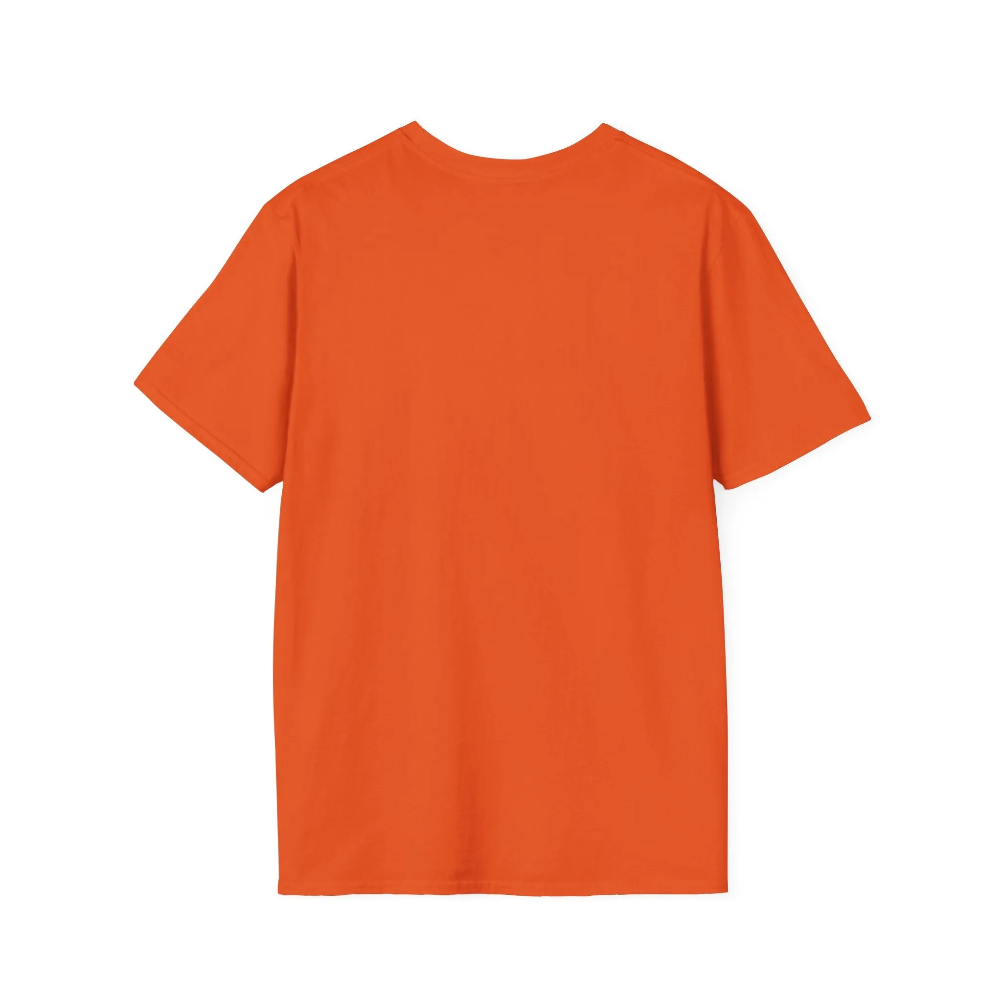 Blank unisex softstyle tee