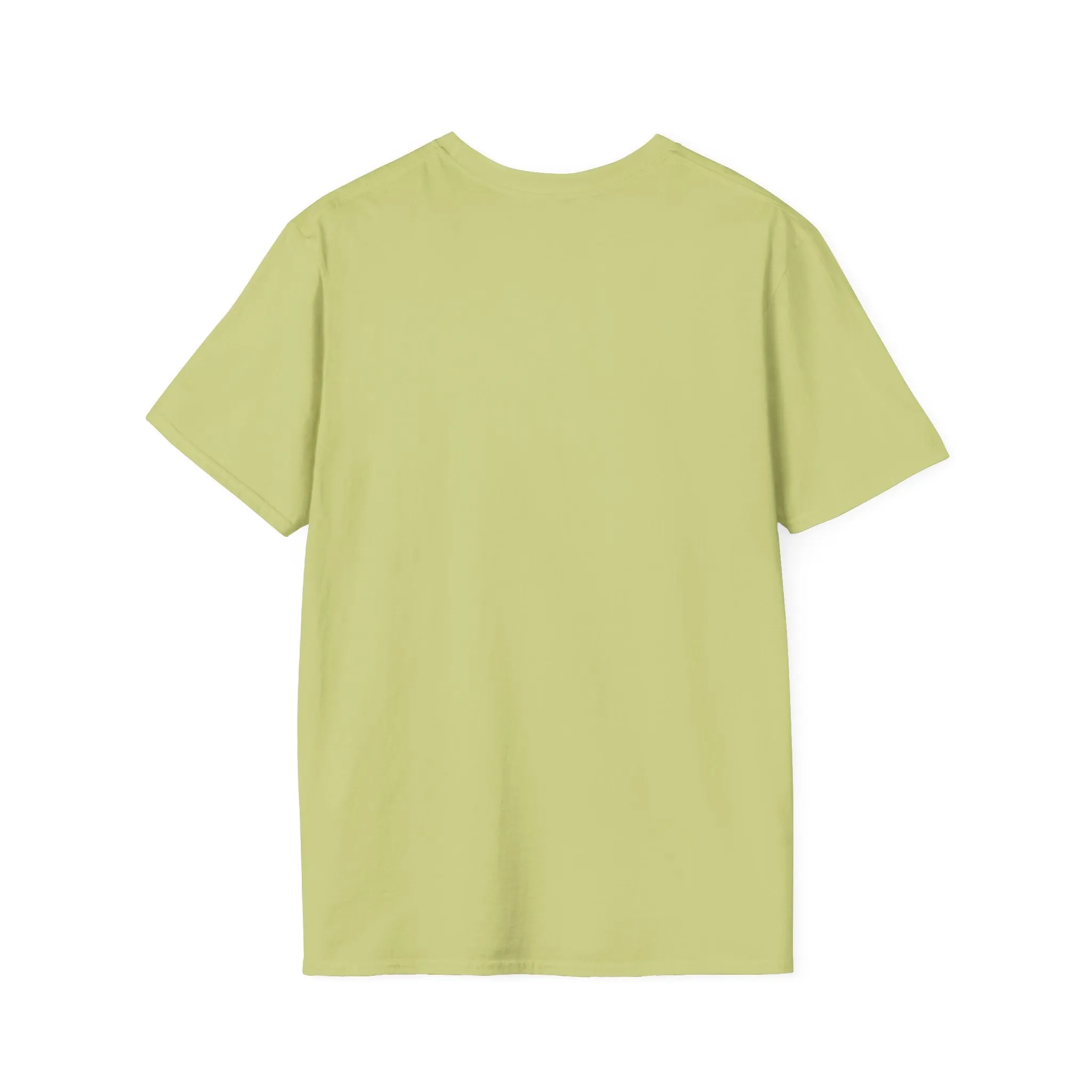 Blank unisex softstyle tee