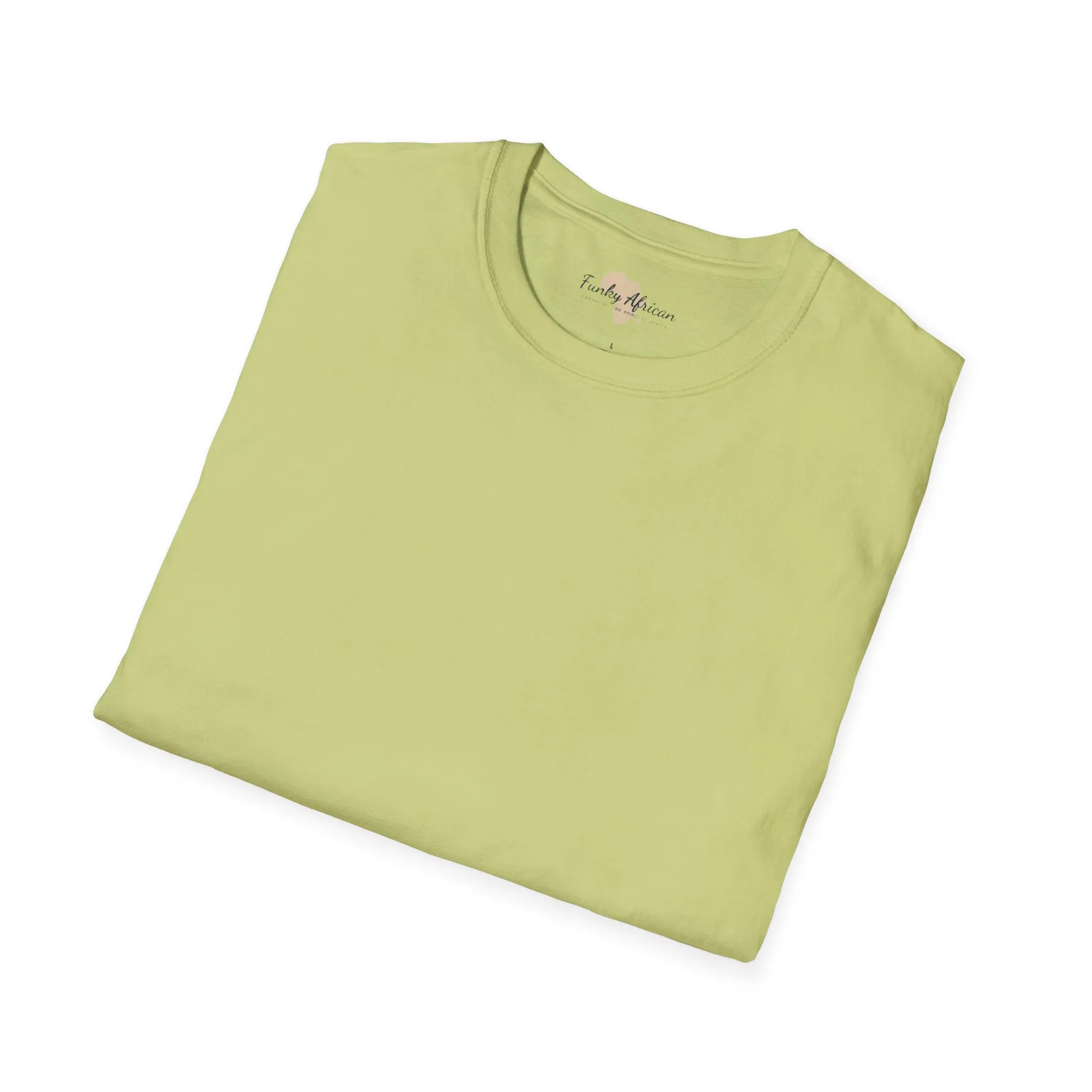 Blank unisex softstyle tee