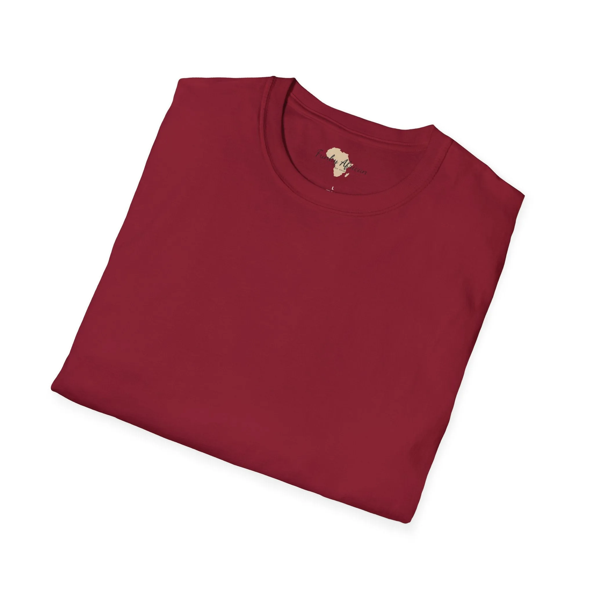 Blank unisex softstyle tee
