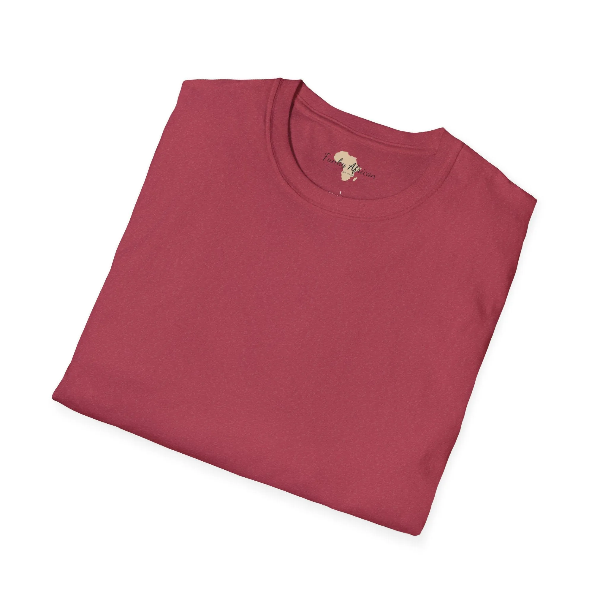 Blank unisex softstyle tee
