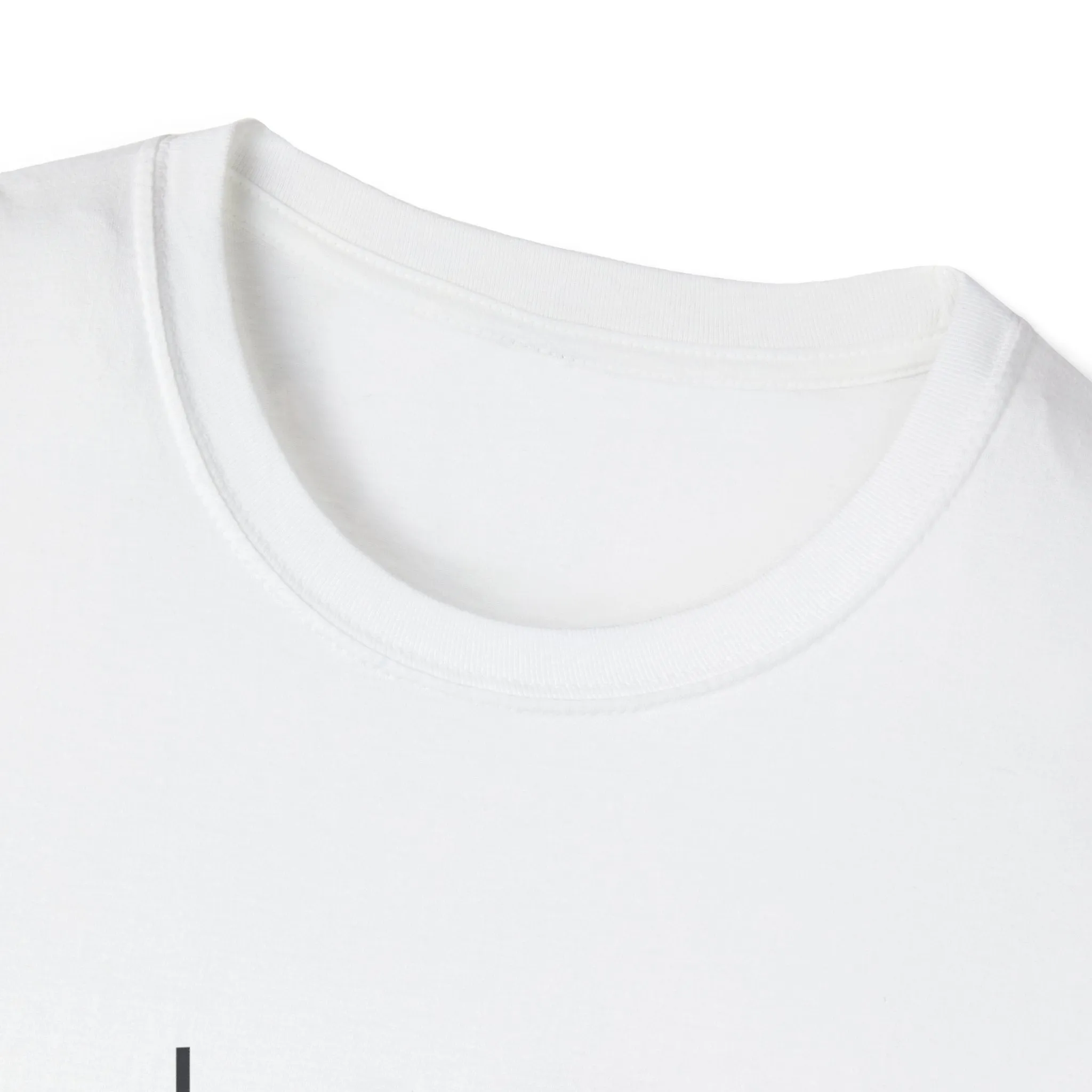 Books and Cats - A Perfect Pair"  - Unisex Softstyle T-Shirt