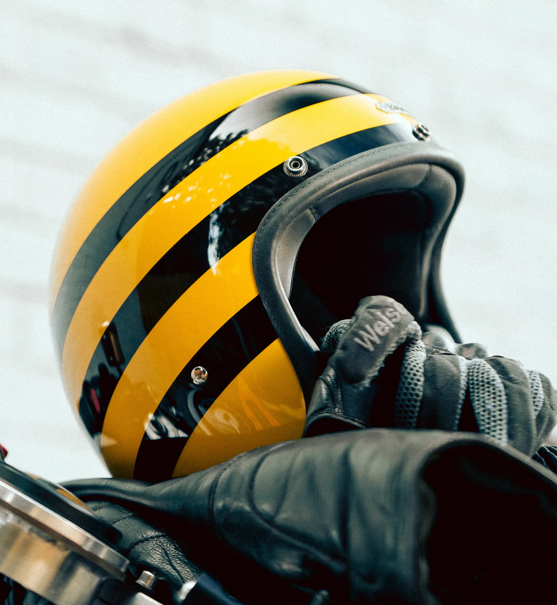 Bumblebee Hedonist & Epicurist | Made-To-Order