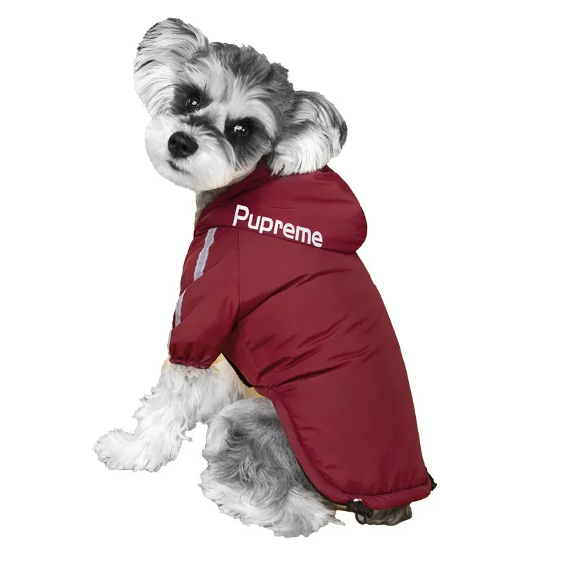 Casual Polyester Letter Pet Clothing