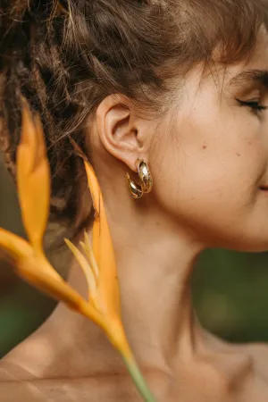 Coral Curve Hoops