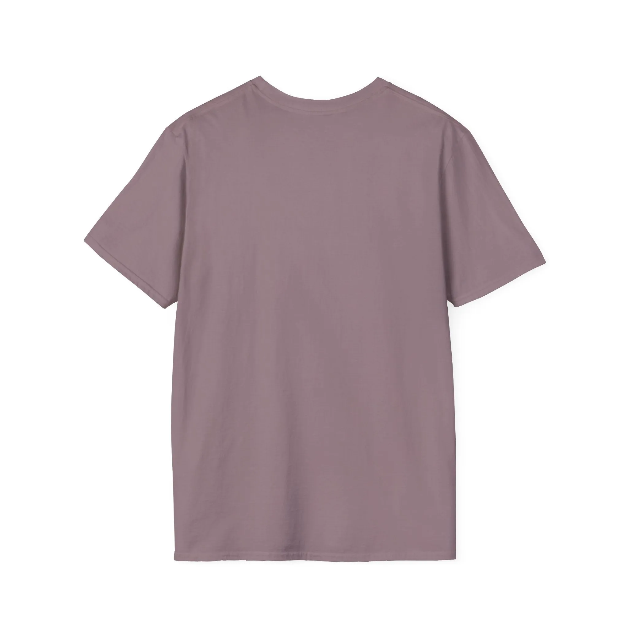 Dream big unisex softstyle tee