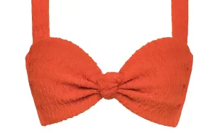 Hayden-Sandra Bikini