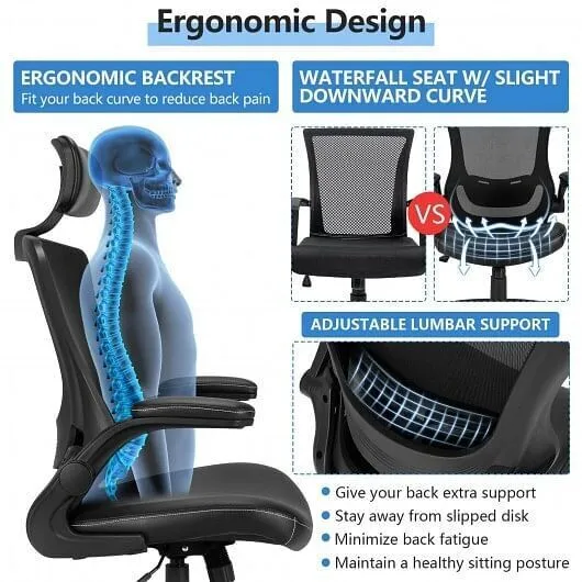 High-Back Executive Chair with Adjustable Lumbar Support and Headrest-Black - Co
