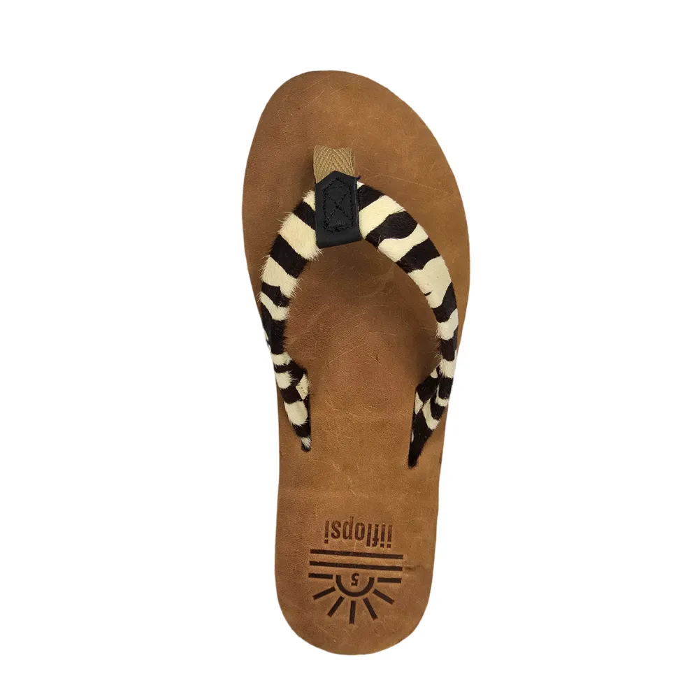Ladies Zebra - Flat