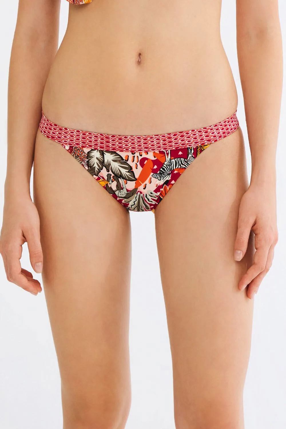 Multi Colour Africa Super Bikini Bottom