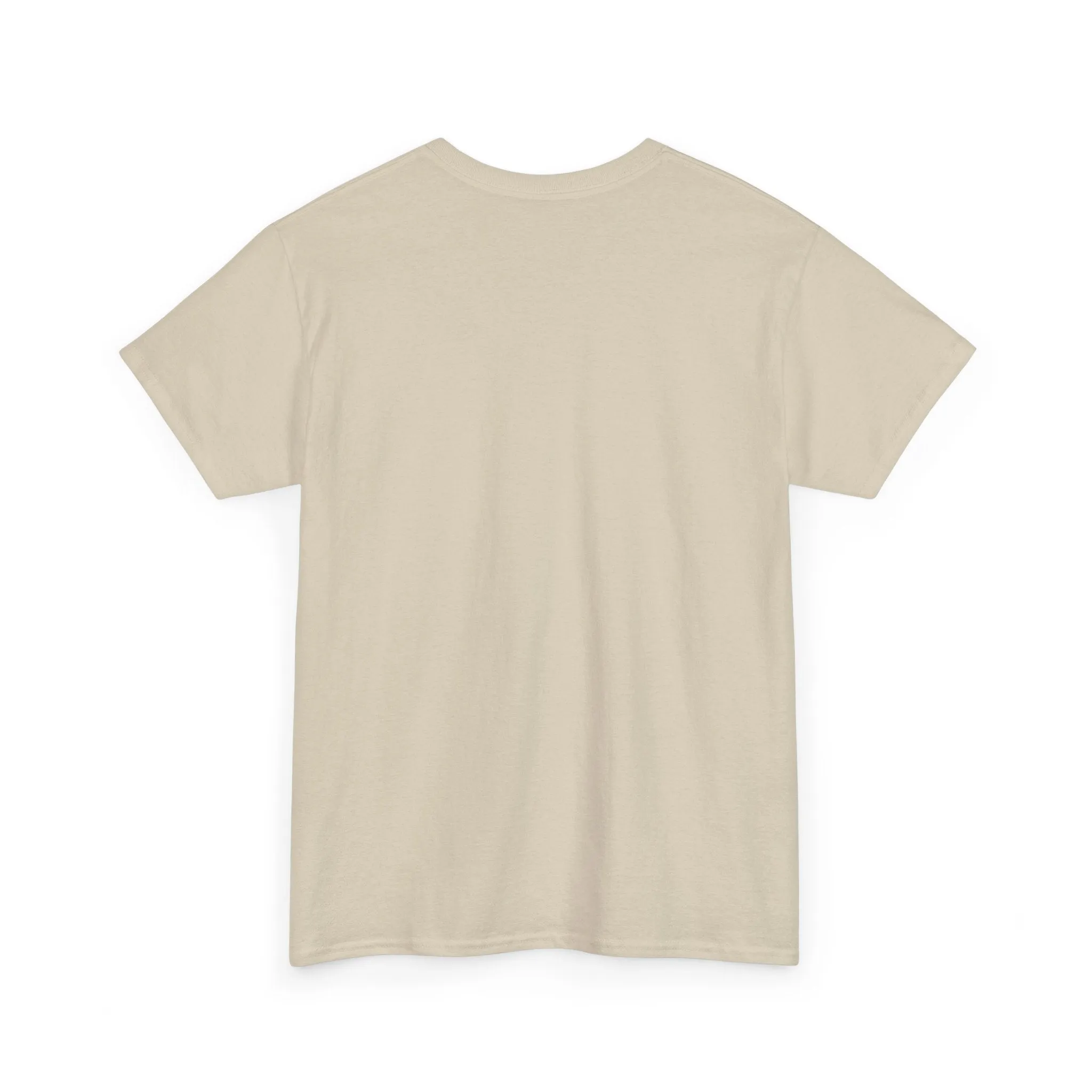 Obatala University Unisex Heavy Cotton Tee - Casual College Style Graphic Shirt
