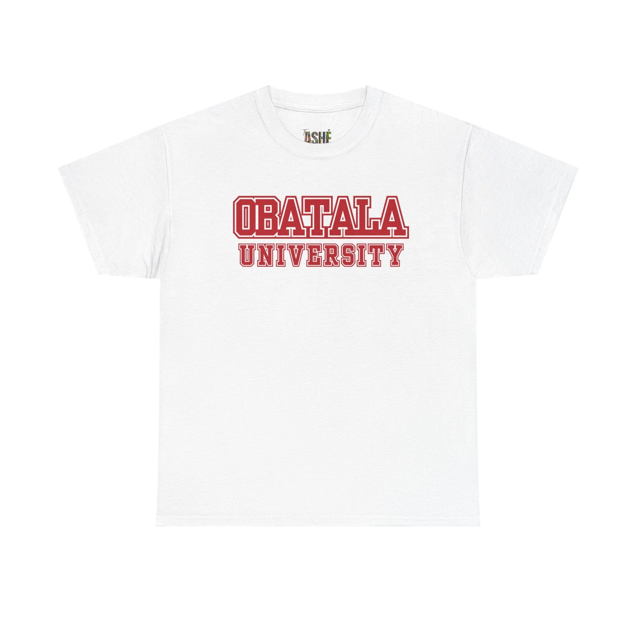 Obatala University Unisex Heavy Cotton Tee - Casual College Style Graphic Shirt