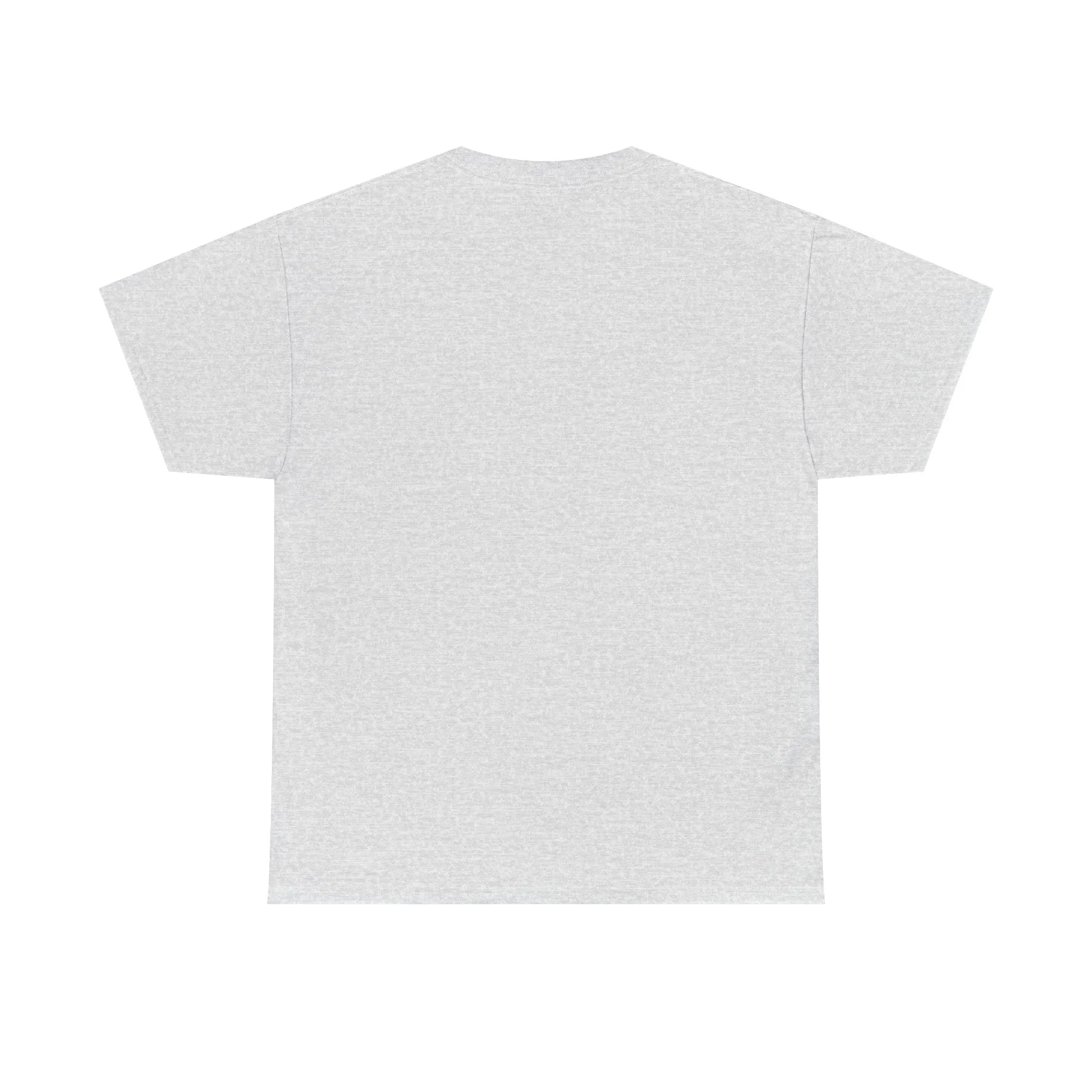 Obatala University Unisex Heavy Cotton Tee - Casual College Style Graphic Shirt