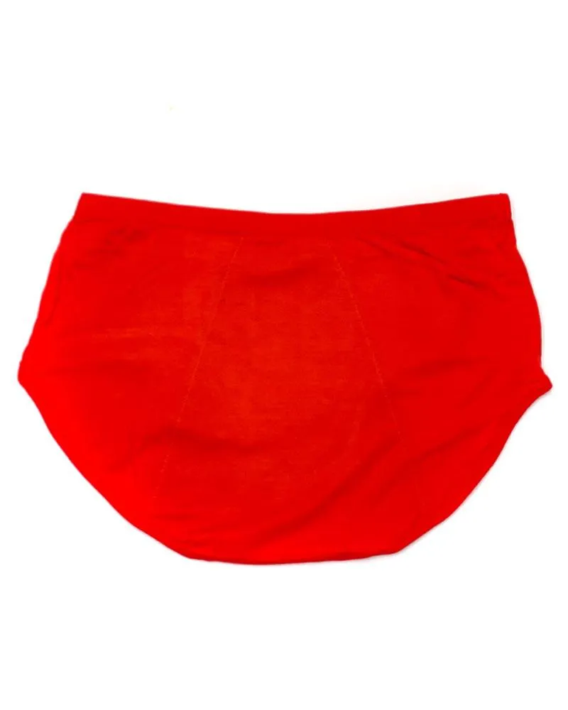 Pack Of 2 - Girls Briefs Cotton Periods Panty - Mix Colors