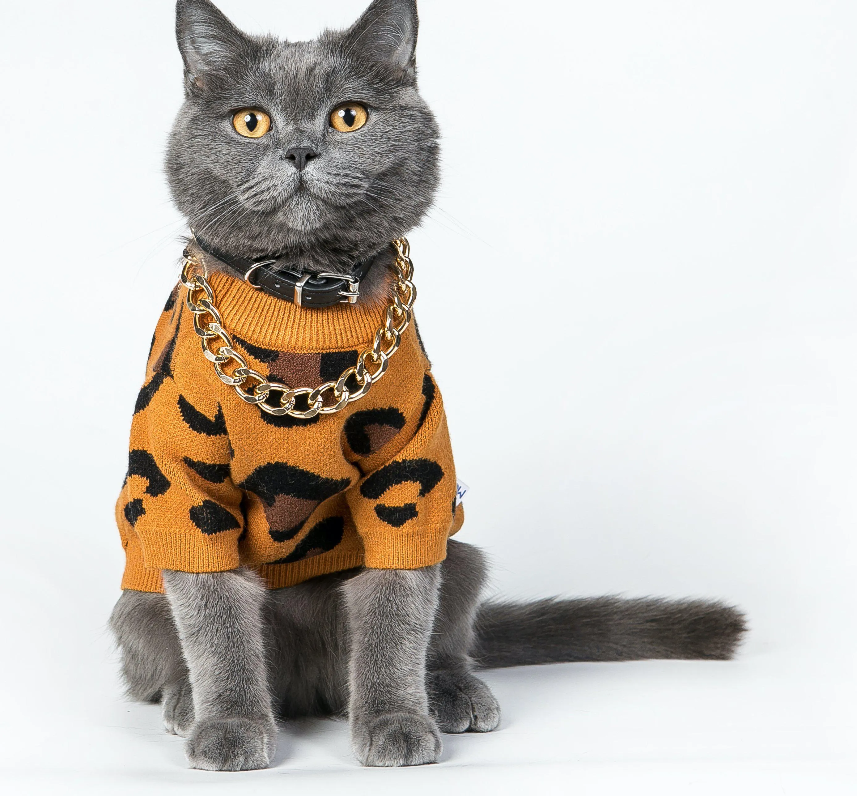 Pets hip-hop Leopard Sweater