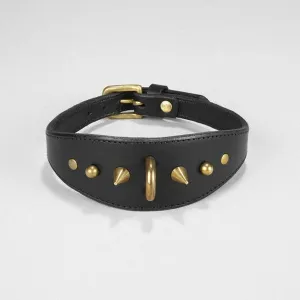 SPIKE COLLAR