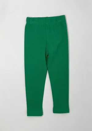 Straight Leggings - Mint Green