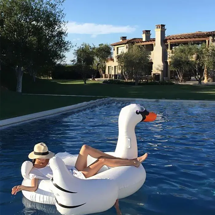 Swan and Pink Flamingo Floater