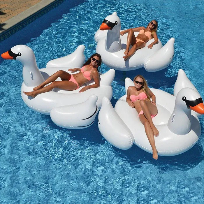 Swan and Pink Flamingo Floater