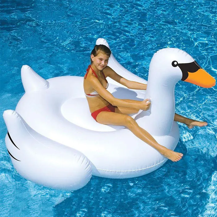 Swan and Pink Flamingo Floater