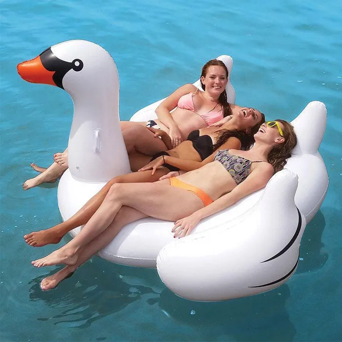 Swan and Pink Flamingo Floater
