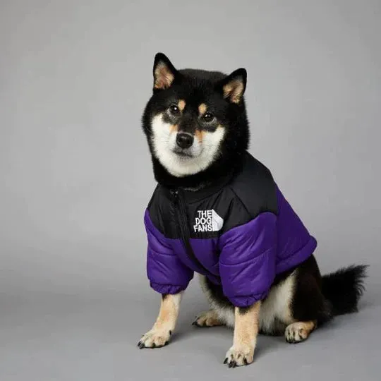 TheDogFans - Warm Dog Clothing (Winter 2024)