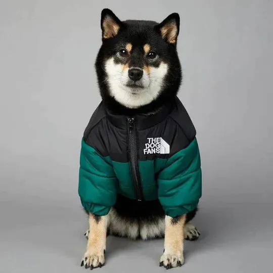 TheDogFans - Warm Dog Clothing (Winter 2024)