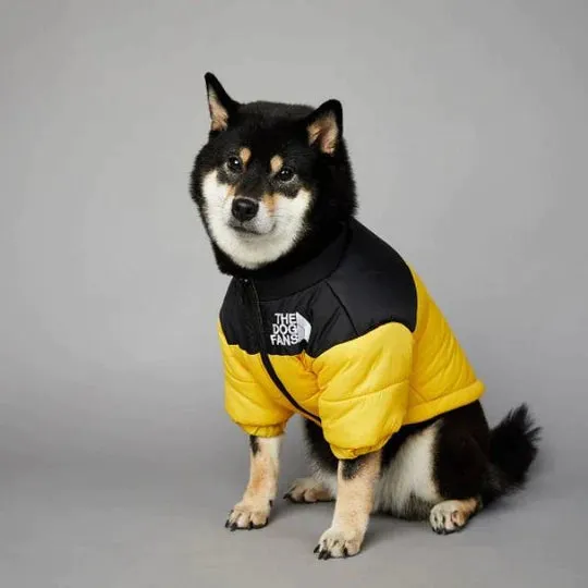 TheDogFans - Warm Dog Clothing (Winter 2024)