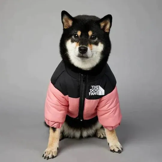 TheDogFans - Warm Dog Clothing (Winter 2024)