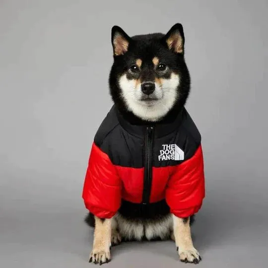 TheDogFans - Warm Dog Clothing (Winter 2024)