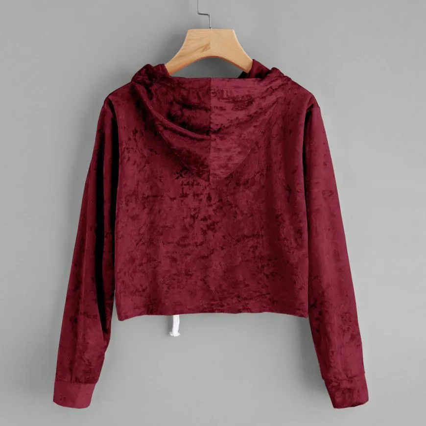 Velvet Crop Hoodie