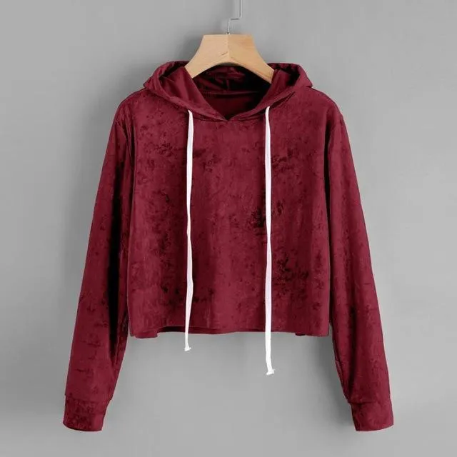 Velvet Crop Hoodie