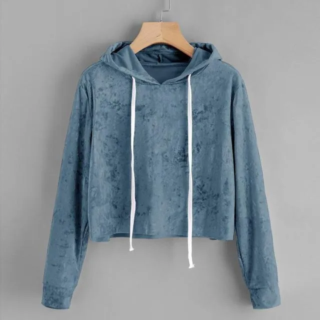Velvet Crop Hoodie