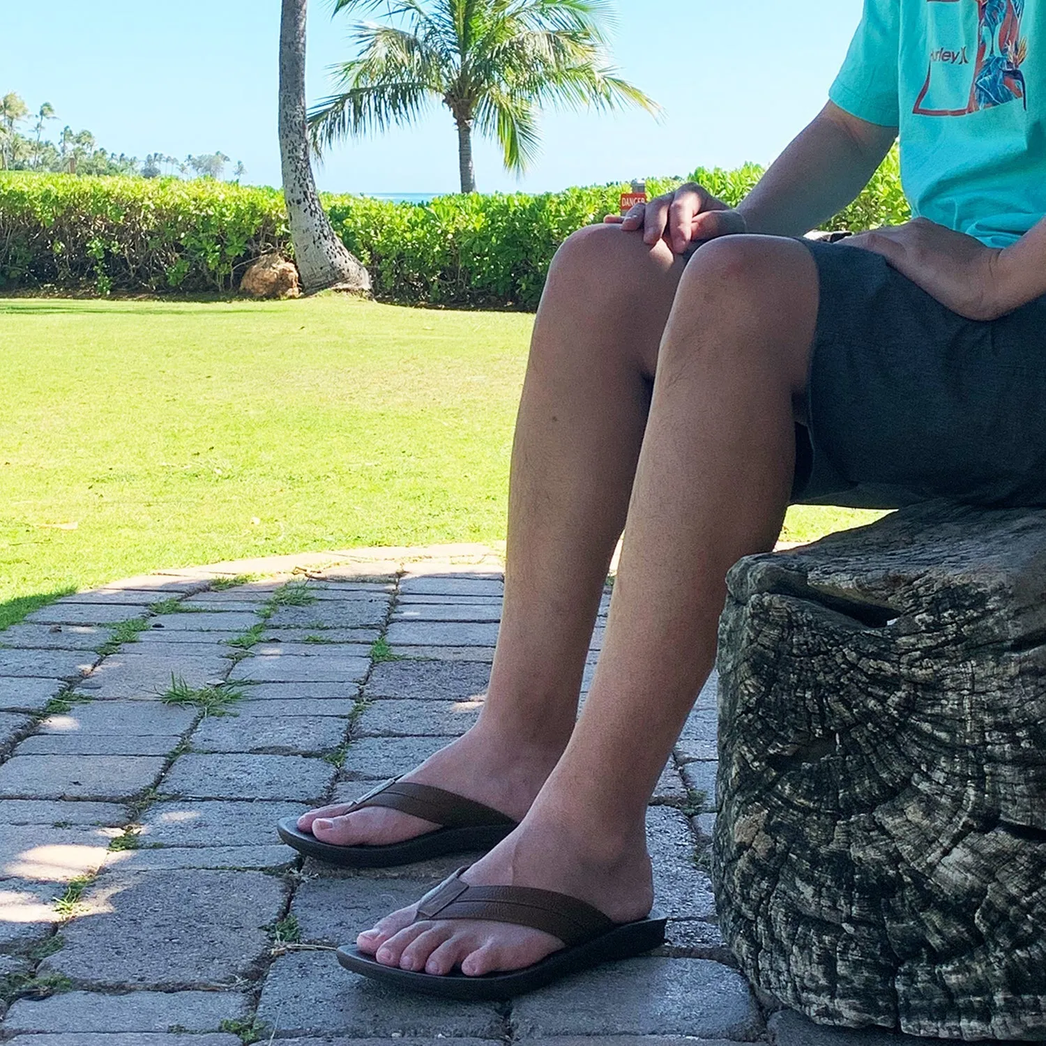 Voyager Men's Flip Flops