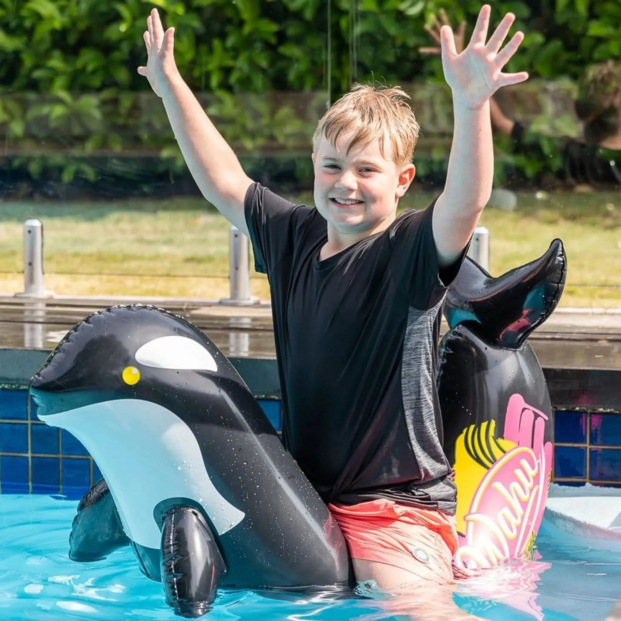 Wahu Pool Pets