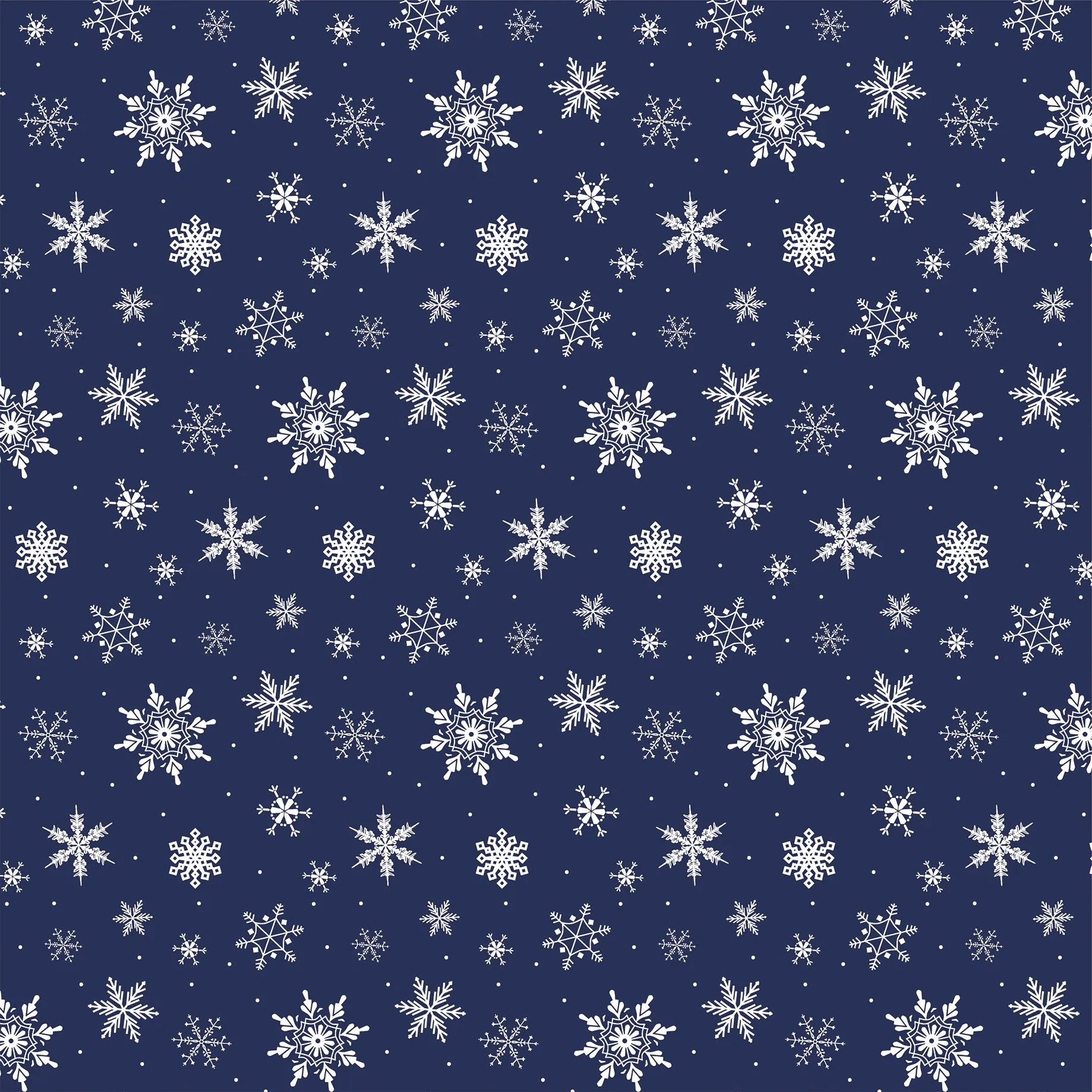Wintertime Collection 4x4 Journaling Cards 12 x 12 Double-Sided Scrapbook Paper by Carta Bella