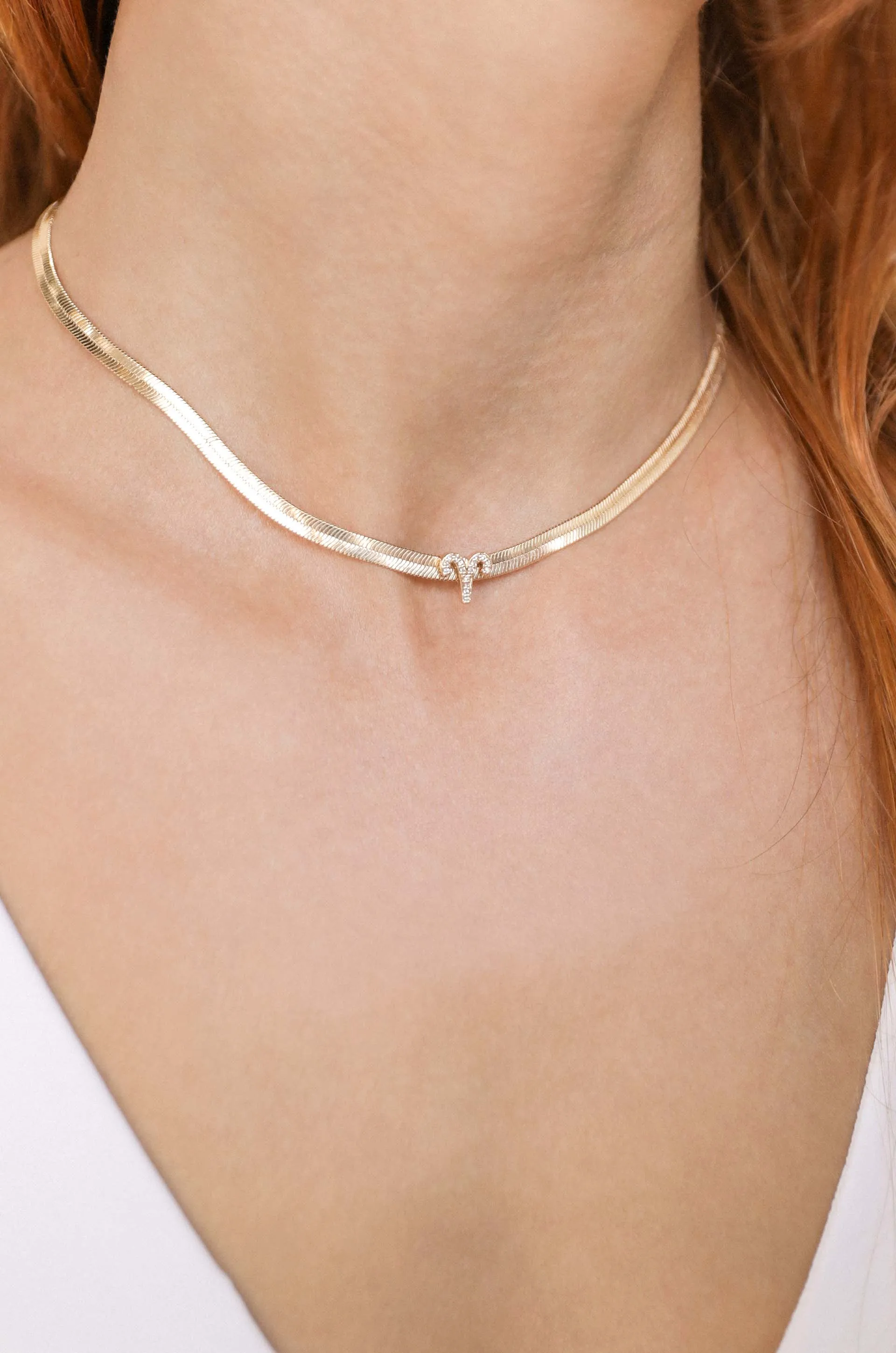 Zodiac Herringbone Necklace