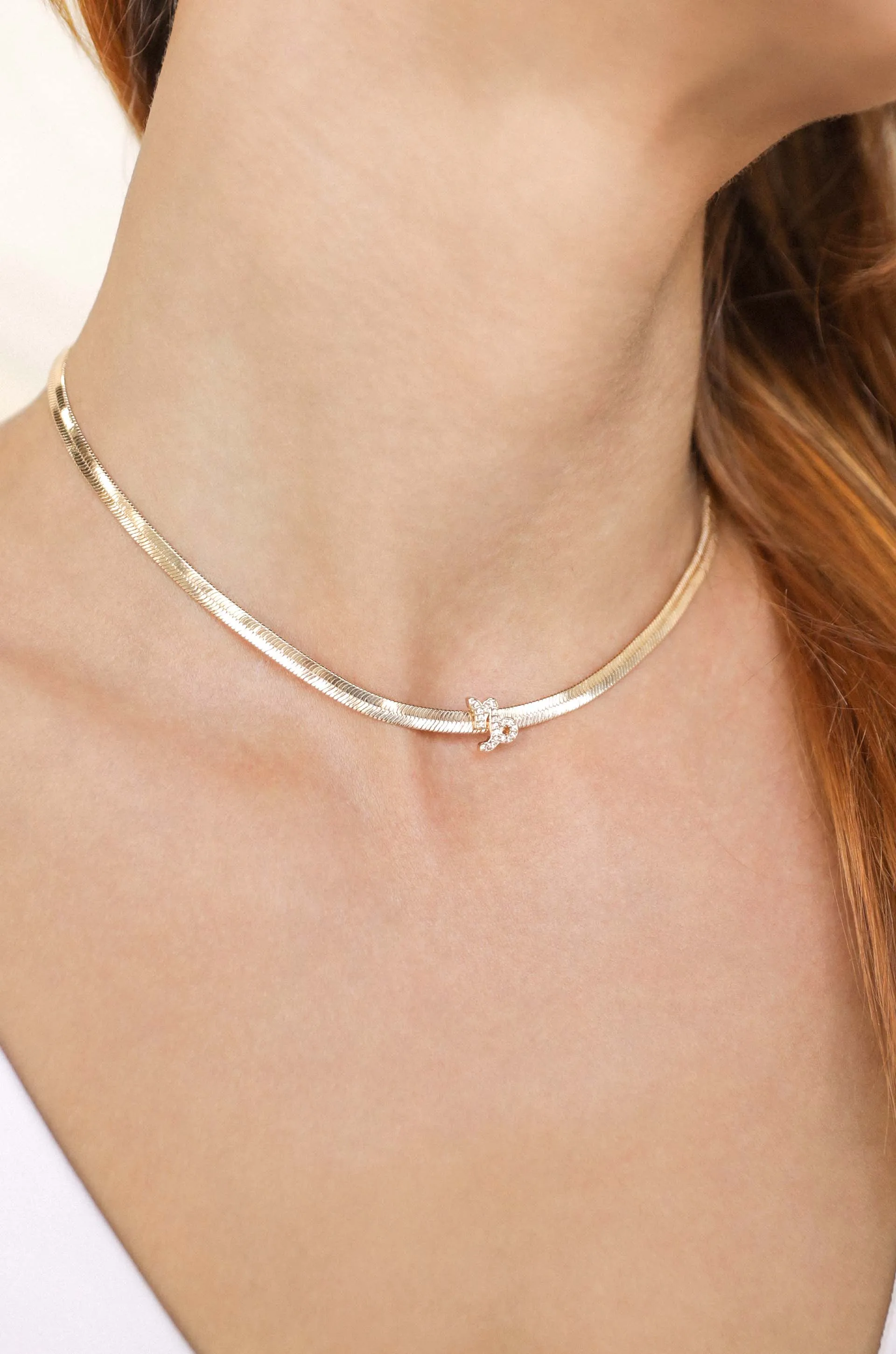 Zodiac Herringbone Necklace