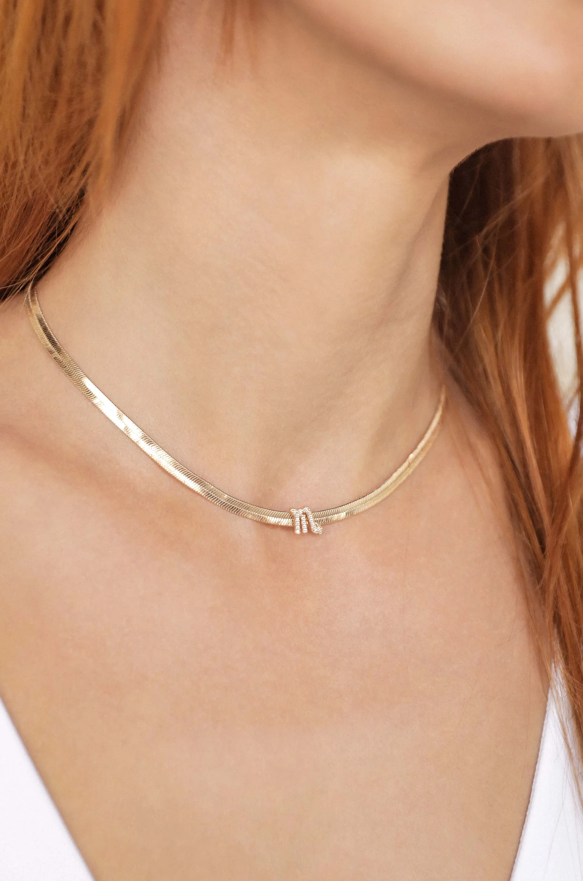 Zodiac Herringbone Necklace